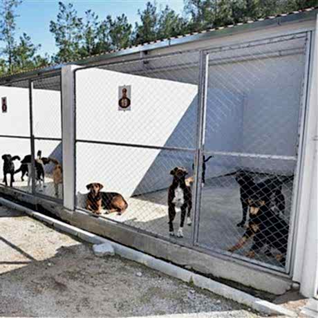 Hayvan Barınakları