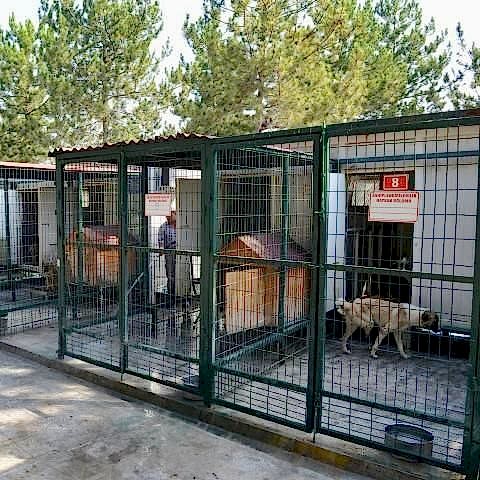 Hayvan Barınakları