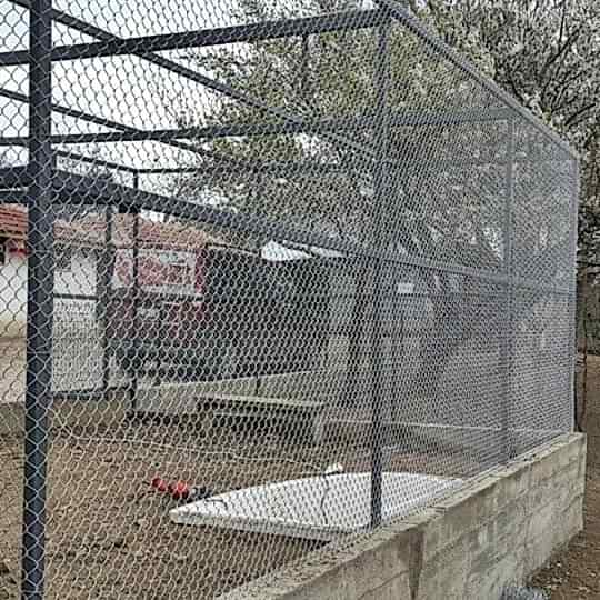 Hayvan Barınakları