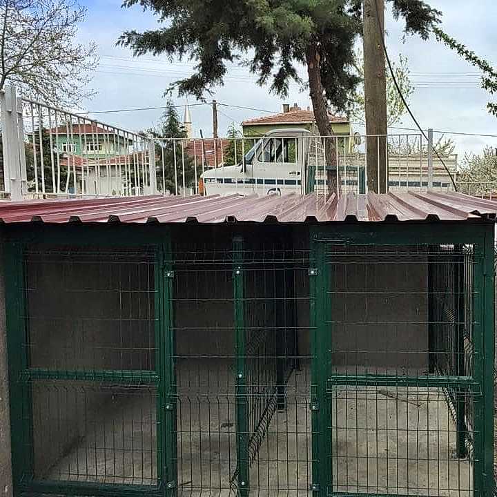 Hayvan Barınakları